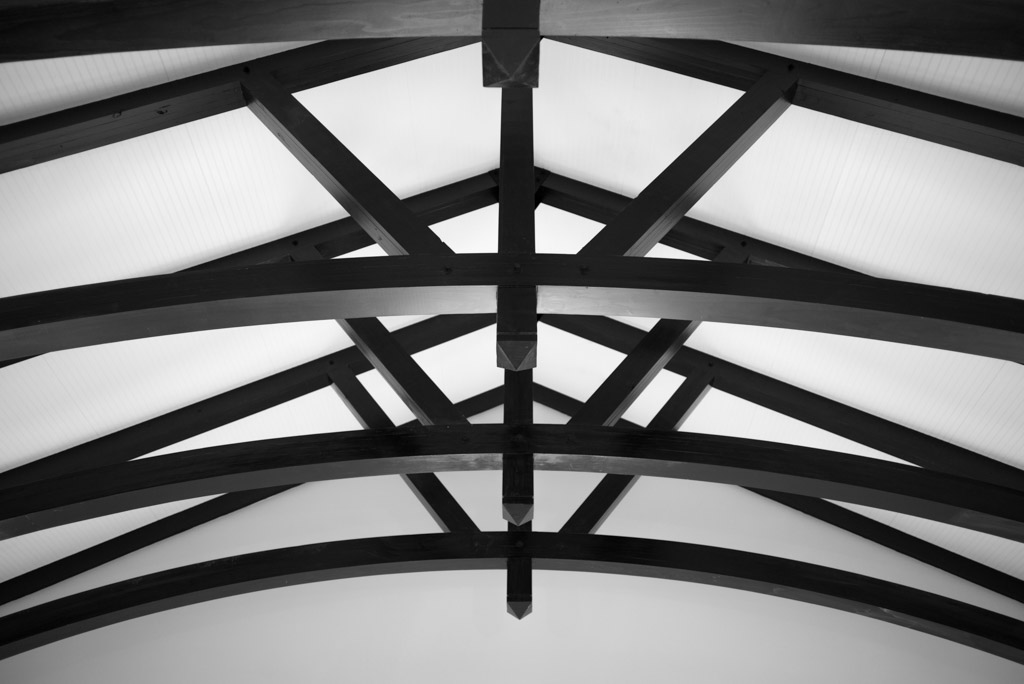 Lines by Summicron