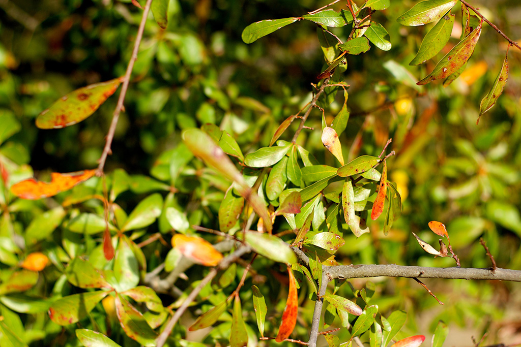 Stacks Image 1147
